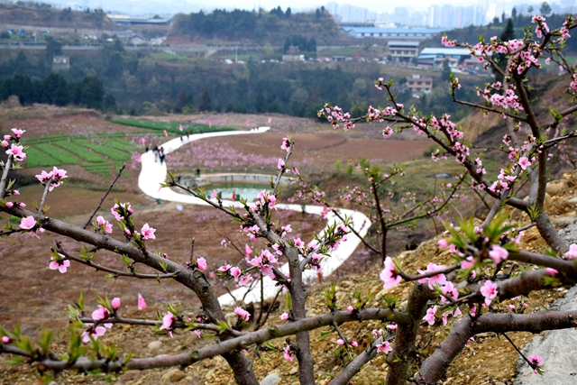 北坝镇桃花节引领三台乡村好风景 (5).jpg